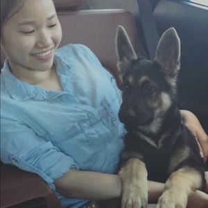 Meet your Posher, My